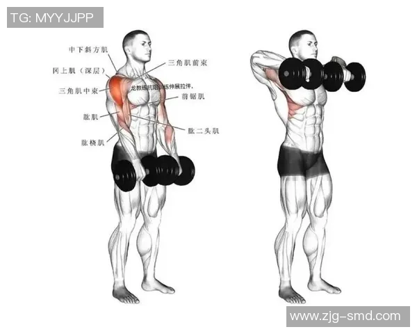 打造健康体魄与强健肌肉的全方位健身计划 从新手到达人全程指导 打造健康体魄与强健肌肉的全方位健身计划 从新手到达人全程指导